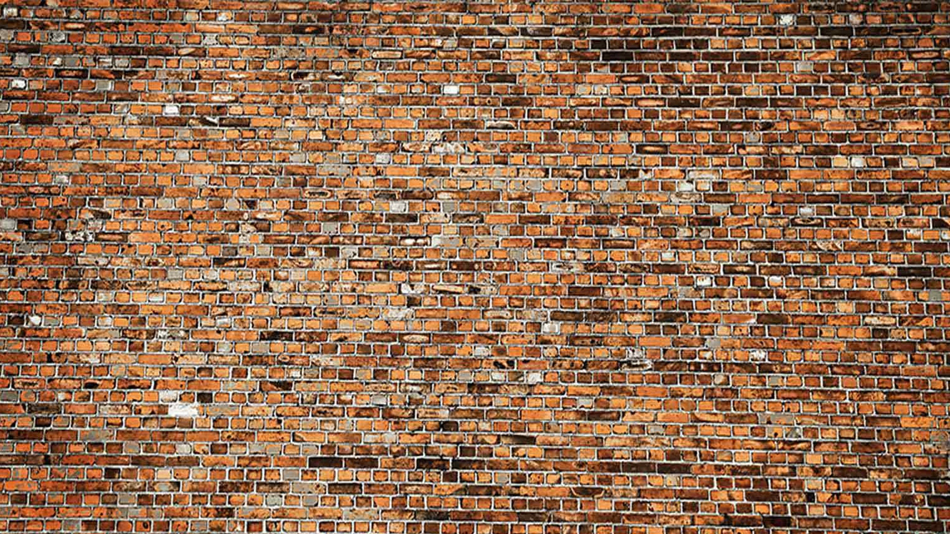 Brick in the Wall