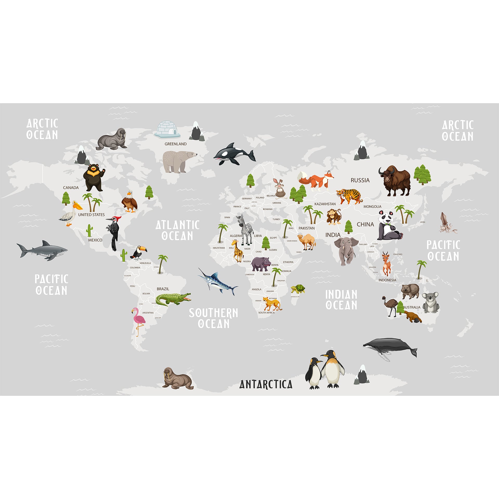 Animal World