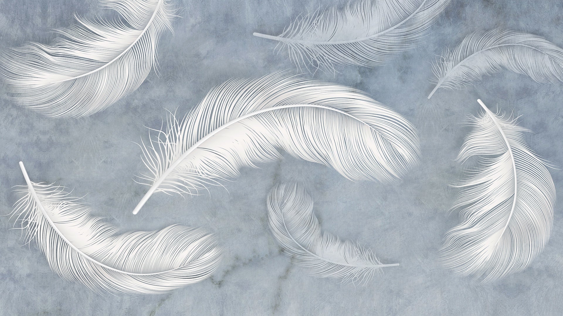 White Feather Wallpaper design for walls