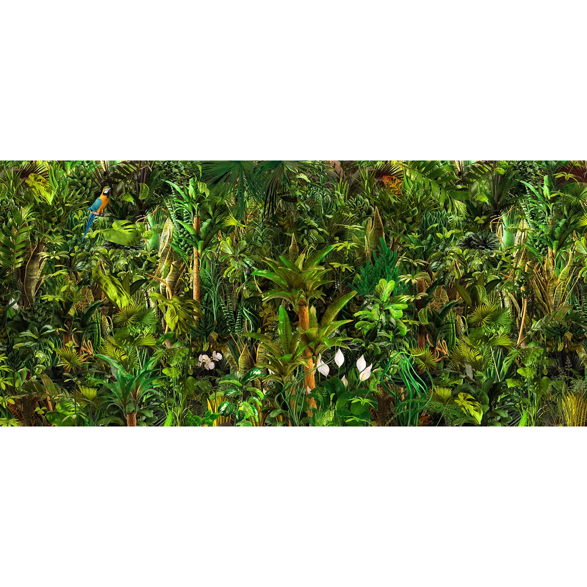 Nature Botanical Landscape