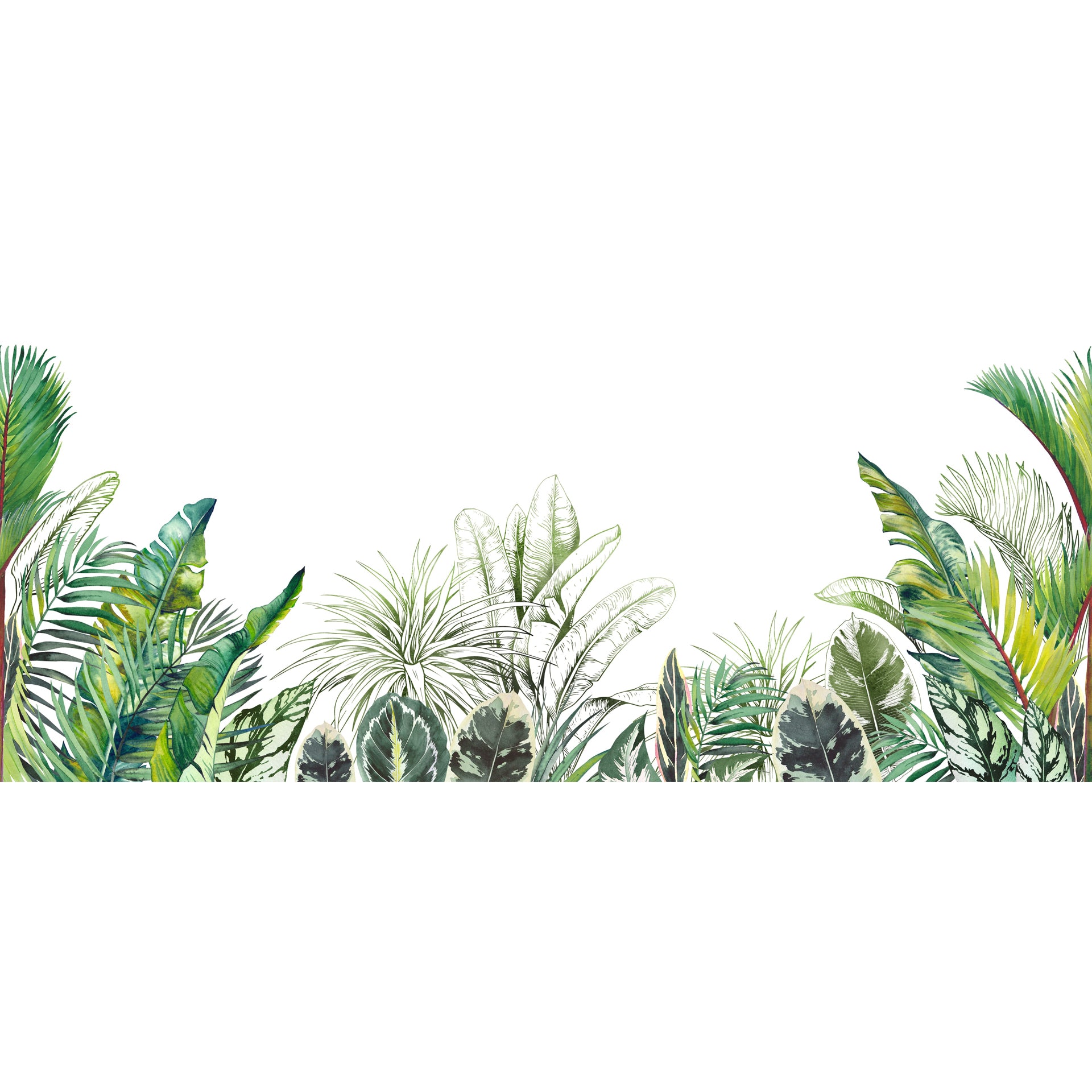 Watercolor Palm Foliage