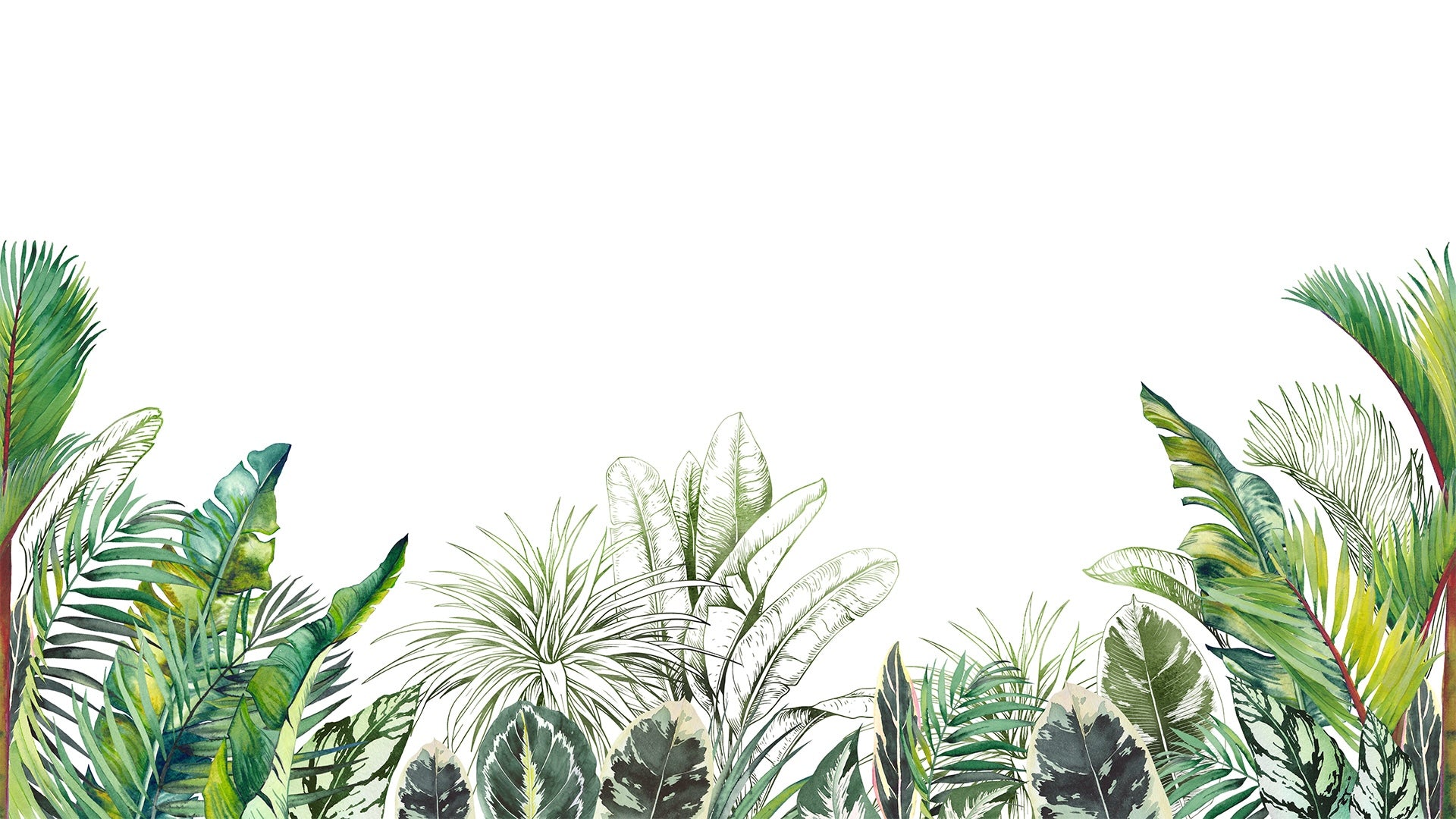 Watercolor palm foliage