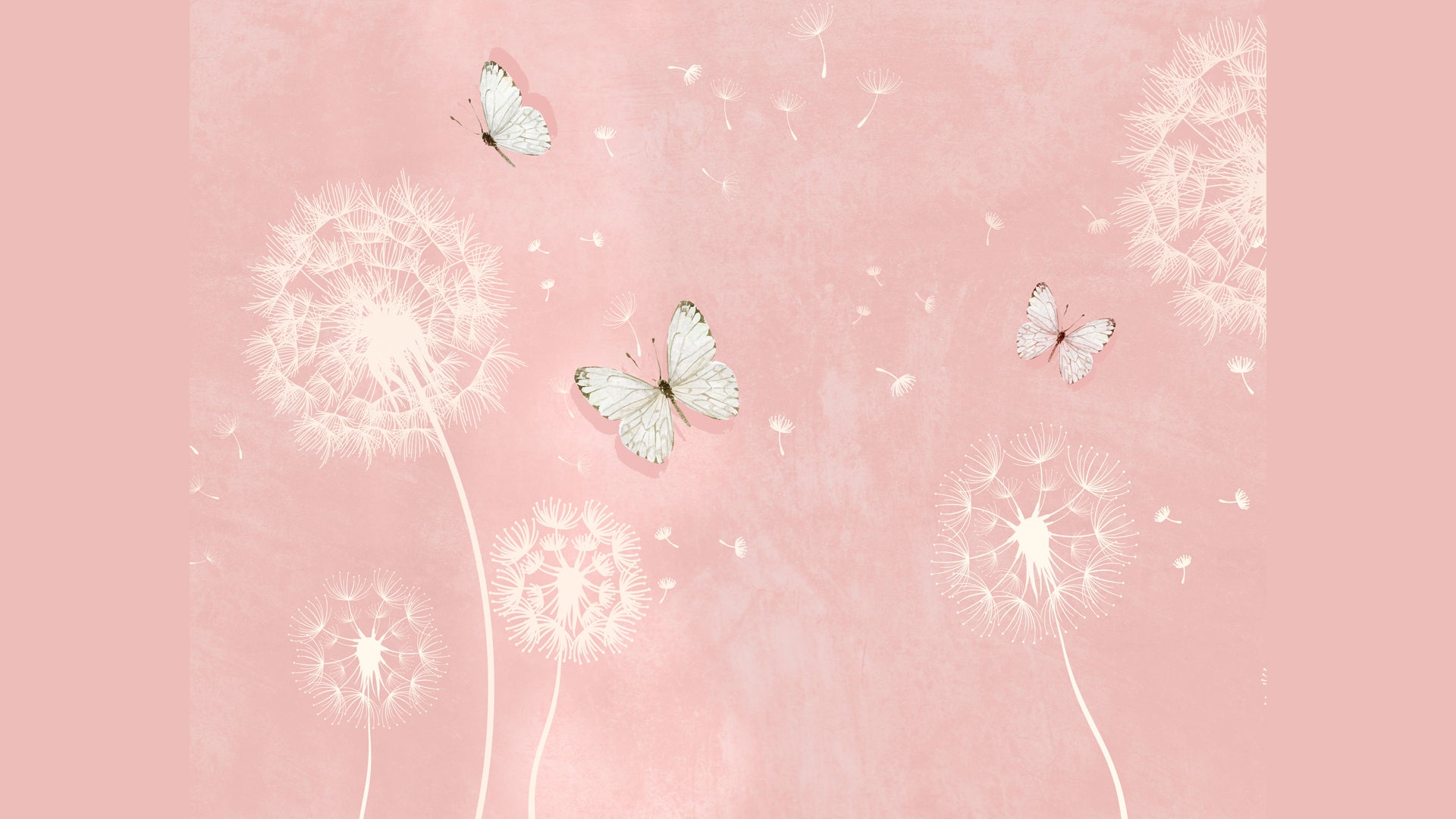 Pink Dandeliona with Butterfly Wallpaper