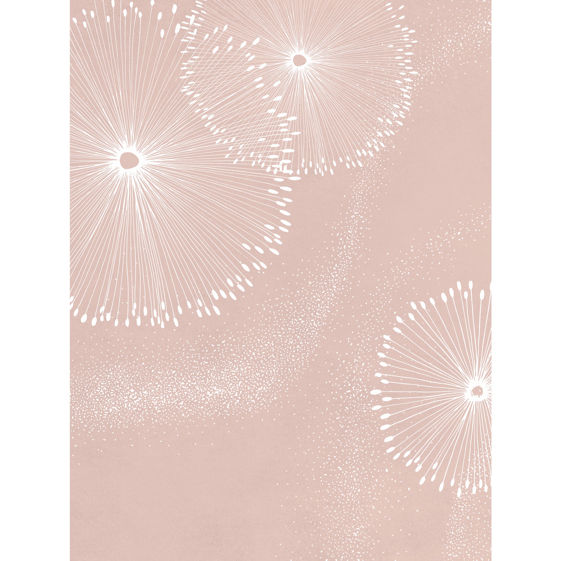 Soft Blush:  Wallpaper With Delicate White Dandelion-Inspired Bursts And A Dreamy, Whimsical Ambiance