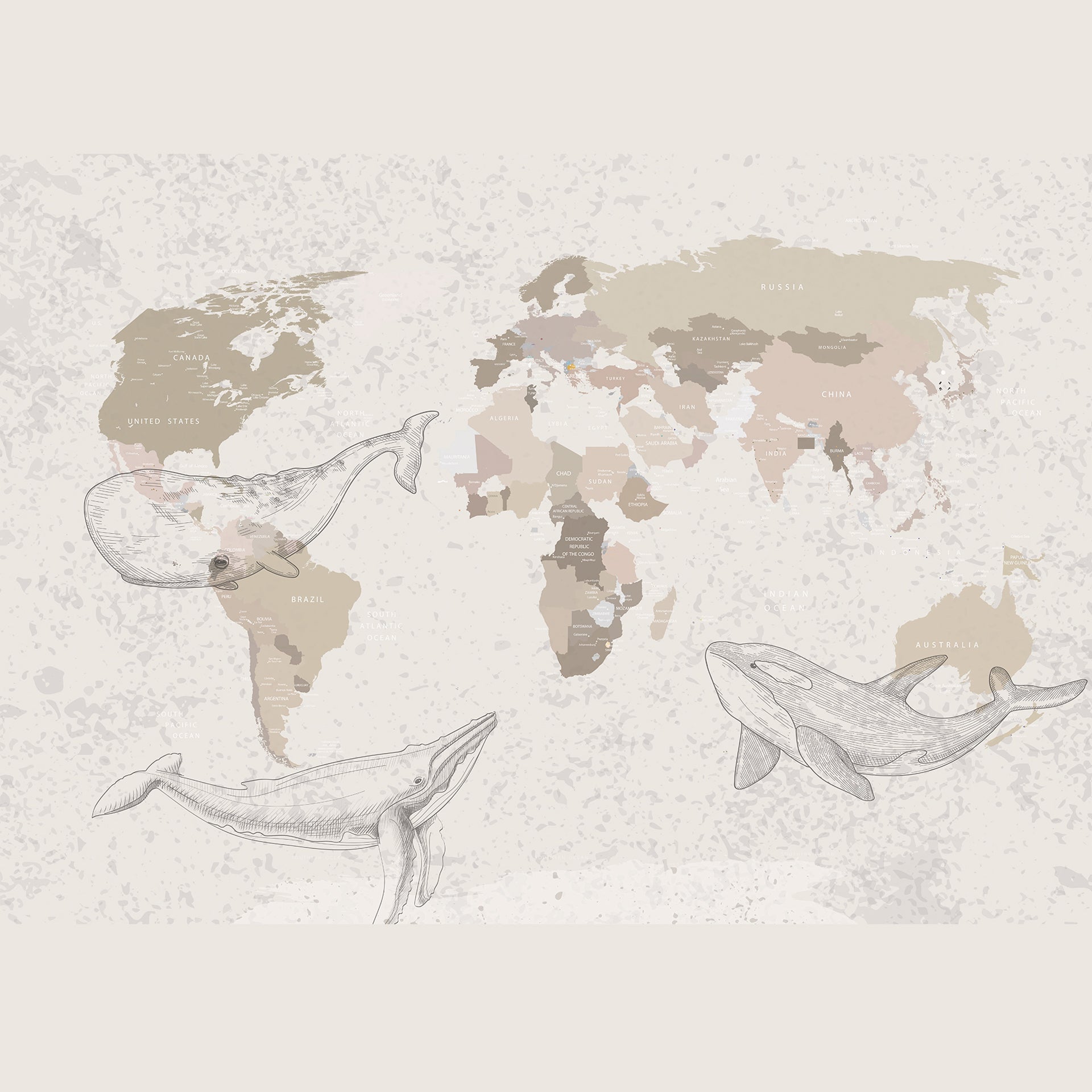 World Map Illustration Featuring Whales In Oceans Around The Globe