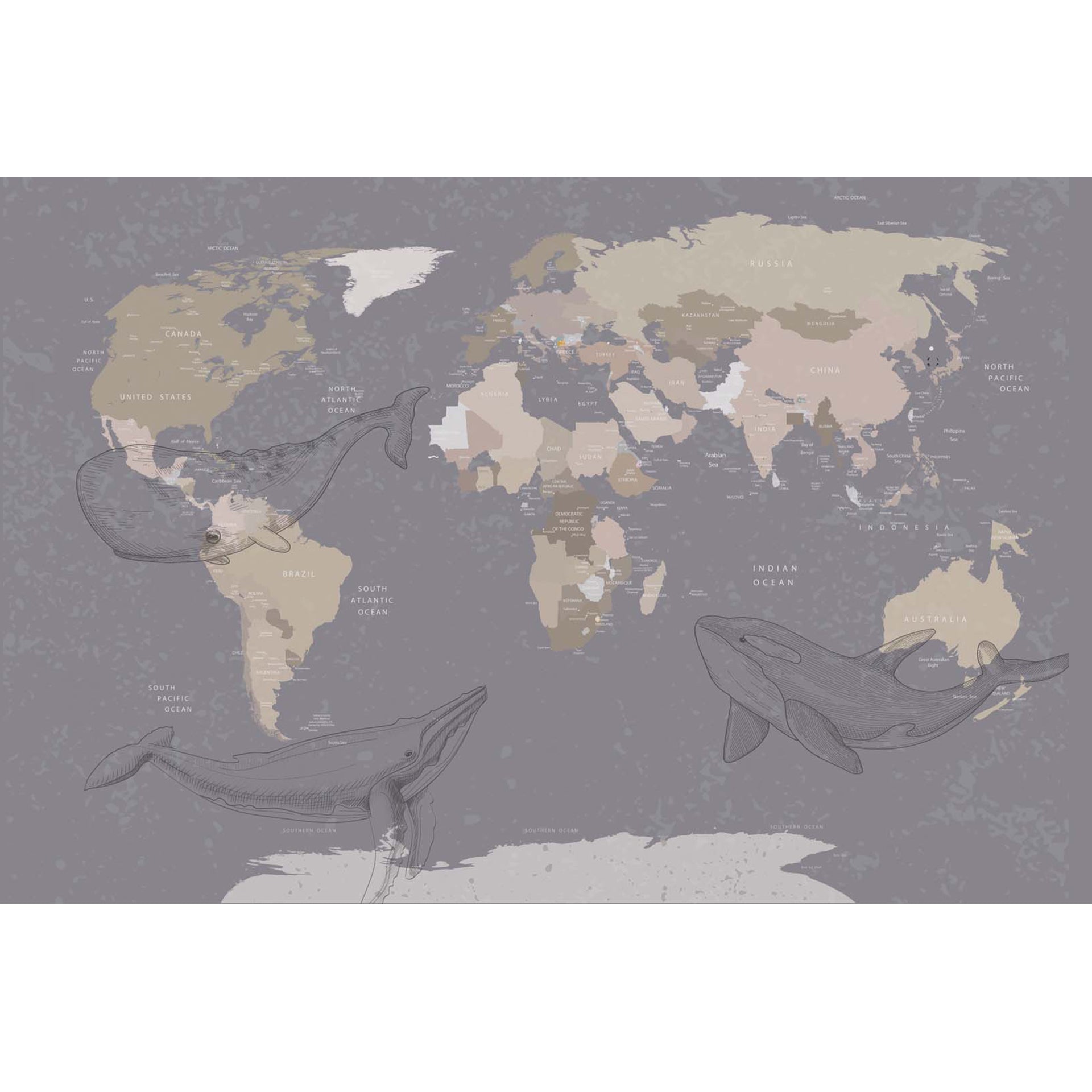 World Map Illustration Featuring Whales In Oceans Around The Globe