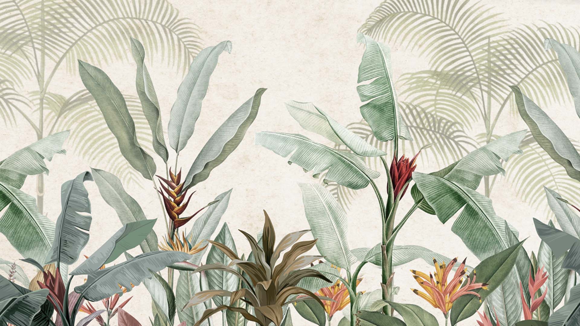 Tropical Foliage - Exotic Plants and Palm Leaves