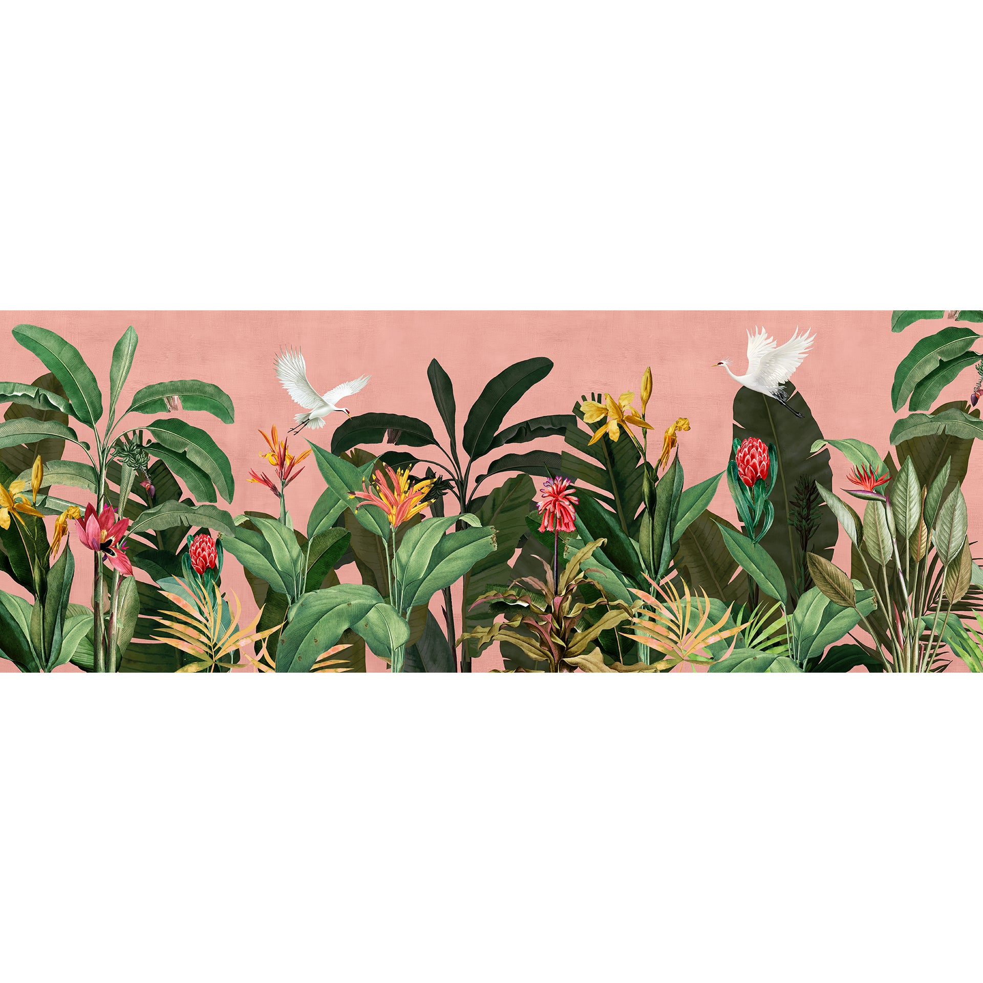 Tropical Birds Against a Soft Pink Background
