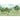 Majestic Landscape: Illustration of Jungle Scene with Wildlife, Lush Trees, and Calm Sky
