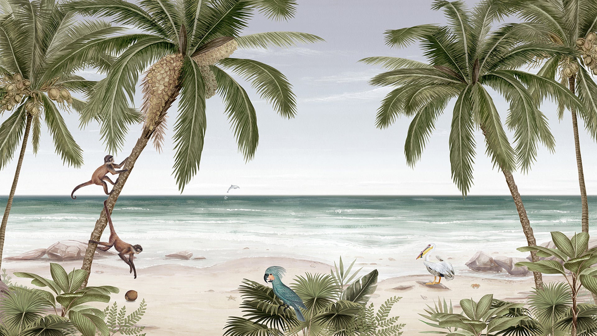 Beach wallpaper with monkey hanging on coconut tree