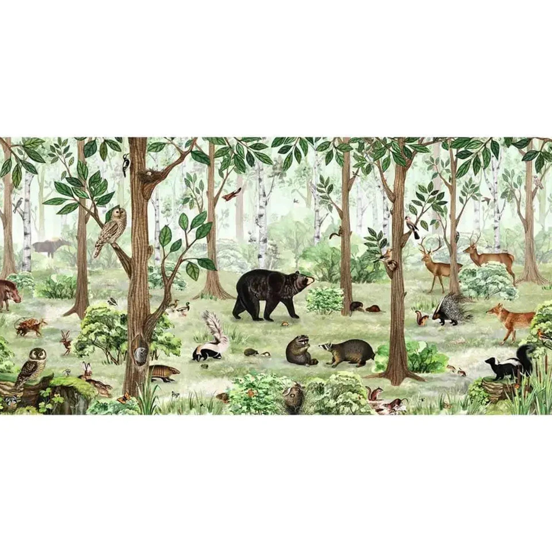 Forest-Lookbook: Panoramic Wallpaper With Diverse Wildlife Including Bears, Deer, Birds, and Squirrels