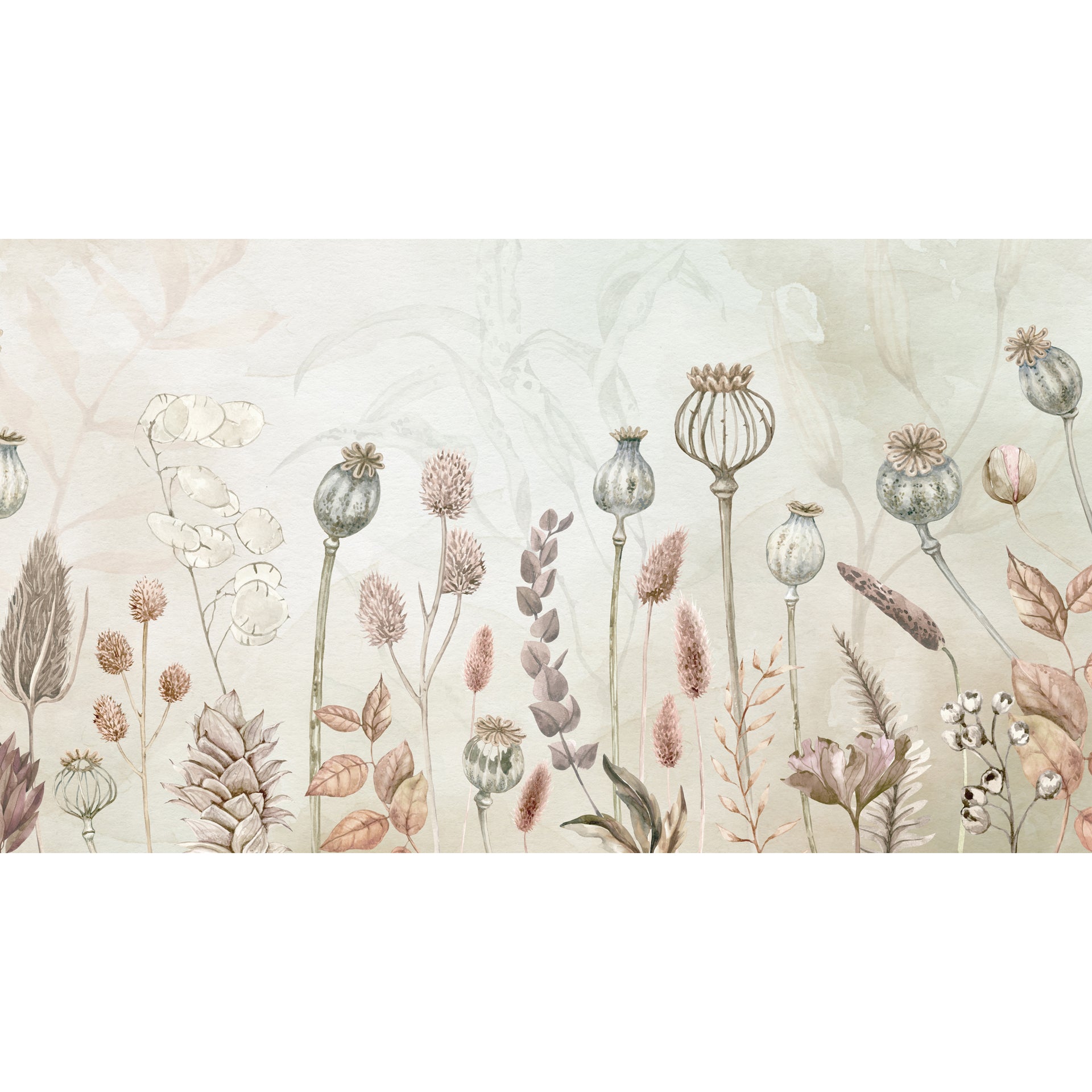 Dried plants and Seed Pods Wallpaper