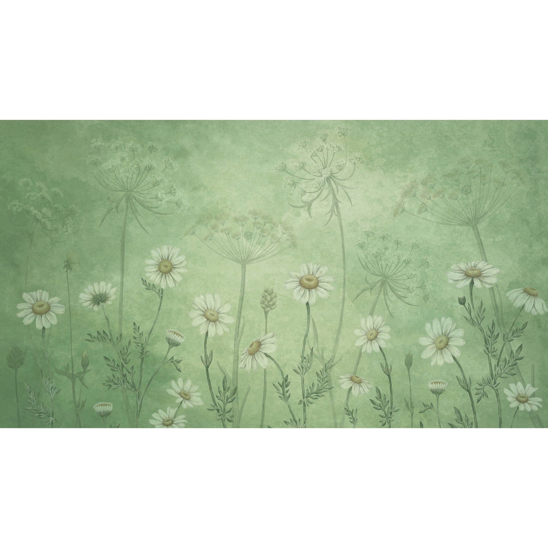 Vintage Field Wildflower with Green background Wallpaper for Walls