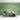 Vintage Field Wildflower with Green background Wallpaper for Walls