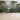 Tropical Rainforest Scene Featuring Wildlife with Birds, Monkeys, and Lush Foliage