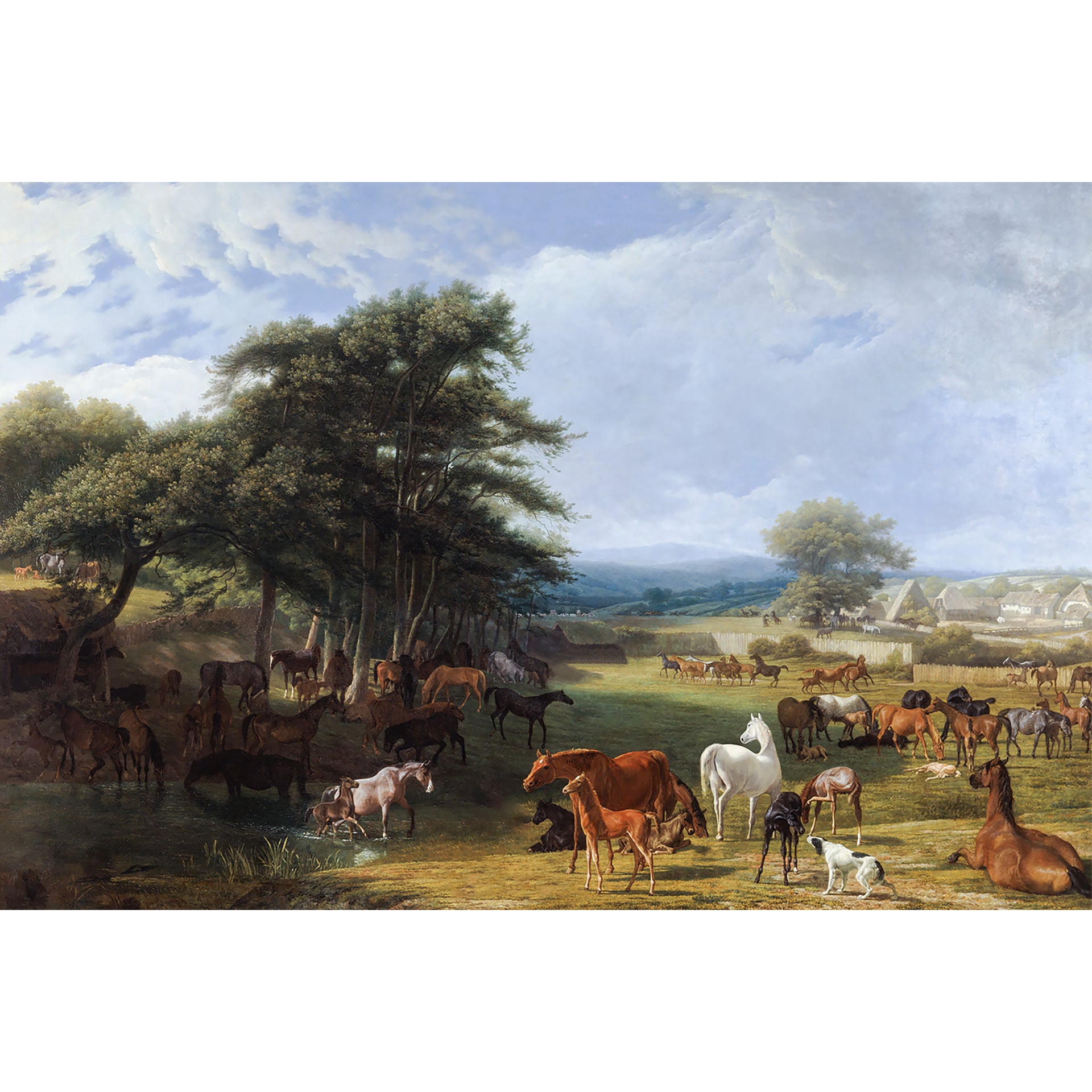 Horse Meadow Wallpaper Murals for Walls