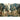 Peacock in the Park wallpaper murals for walls