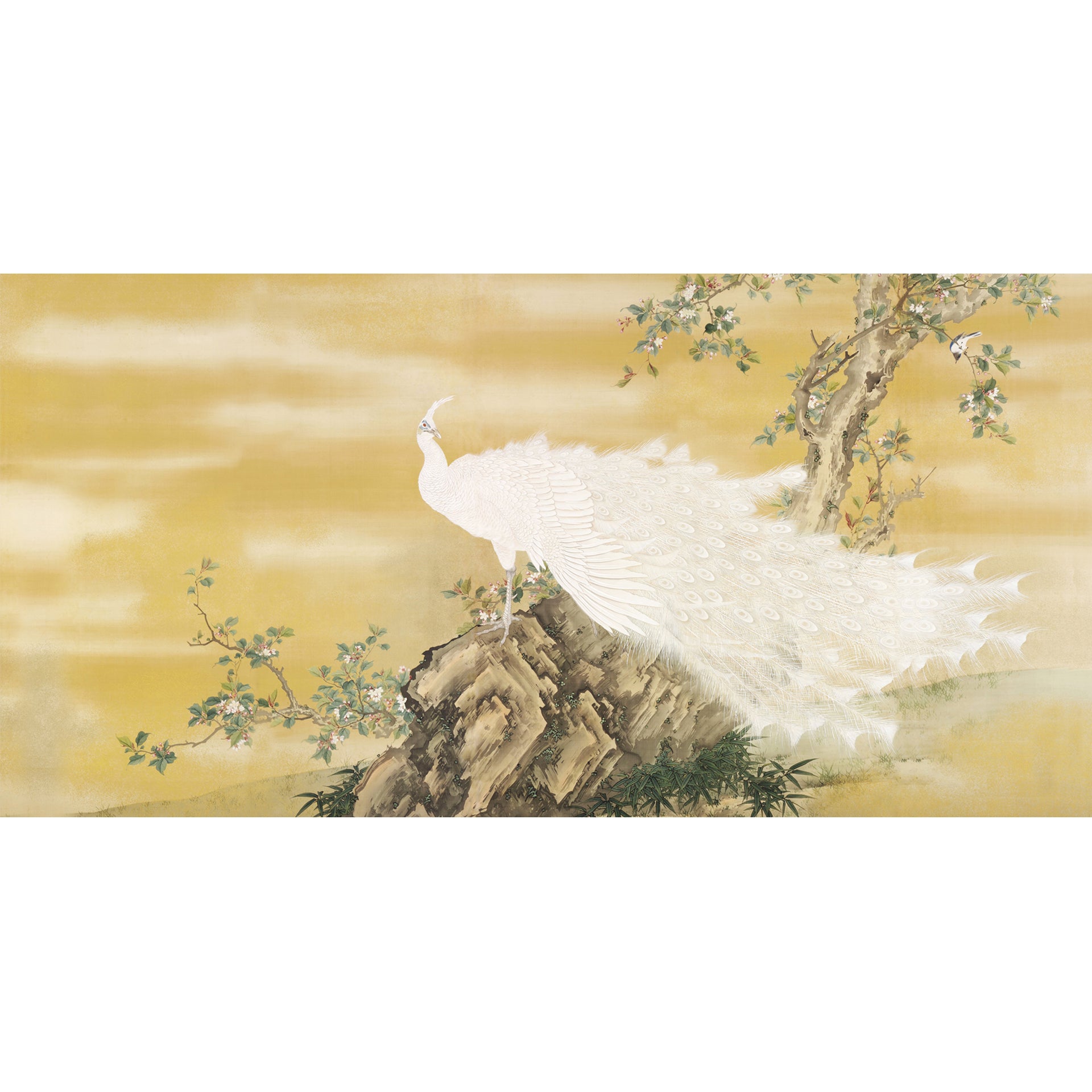 White peafowl wallpaper murals for walls