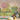 Spring In Japan: Whimsical Japanese Garden Wallpaper
