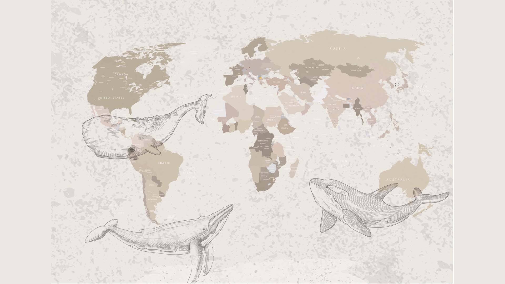 World Map Illustration Featuring Whales In Oceans Around The Globe